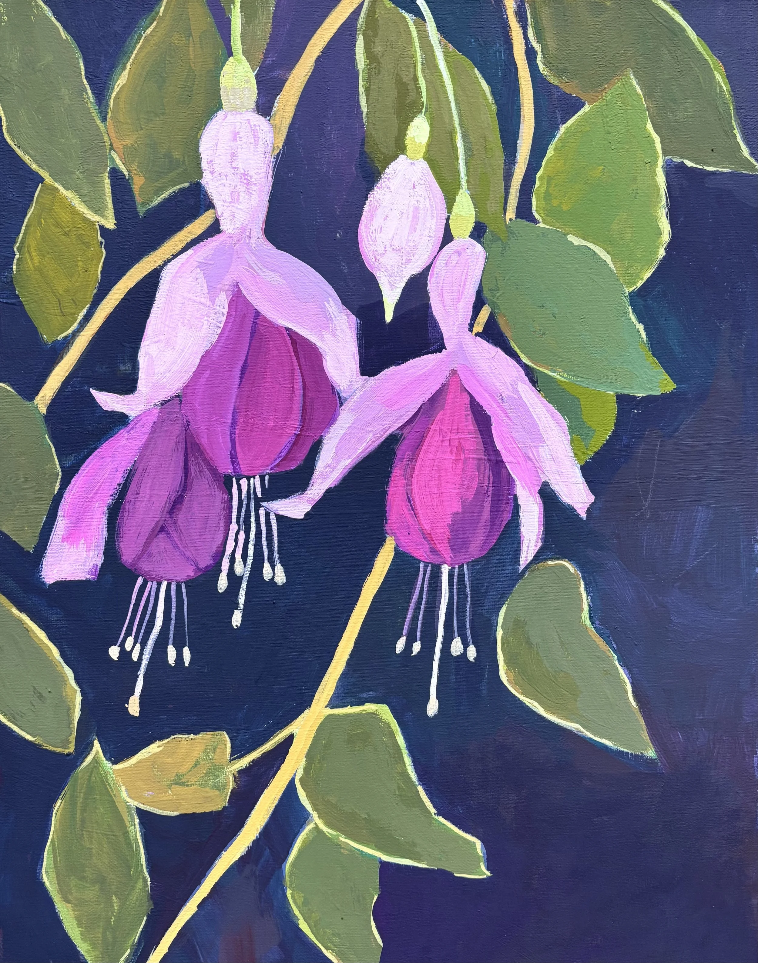 fuchsia300.jpeg