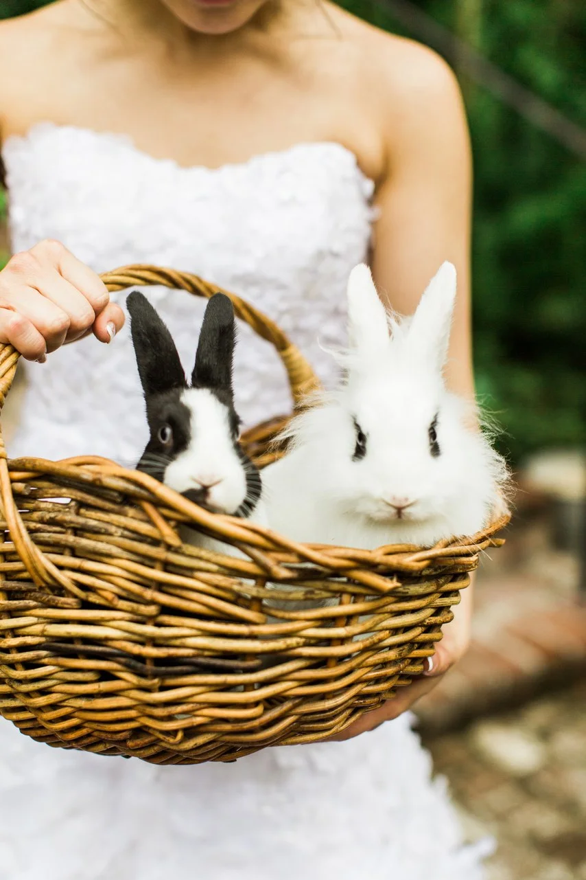 11-Altanta-Georgia-Spring-Wedding-Rachael-Osborn.jpg
