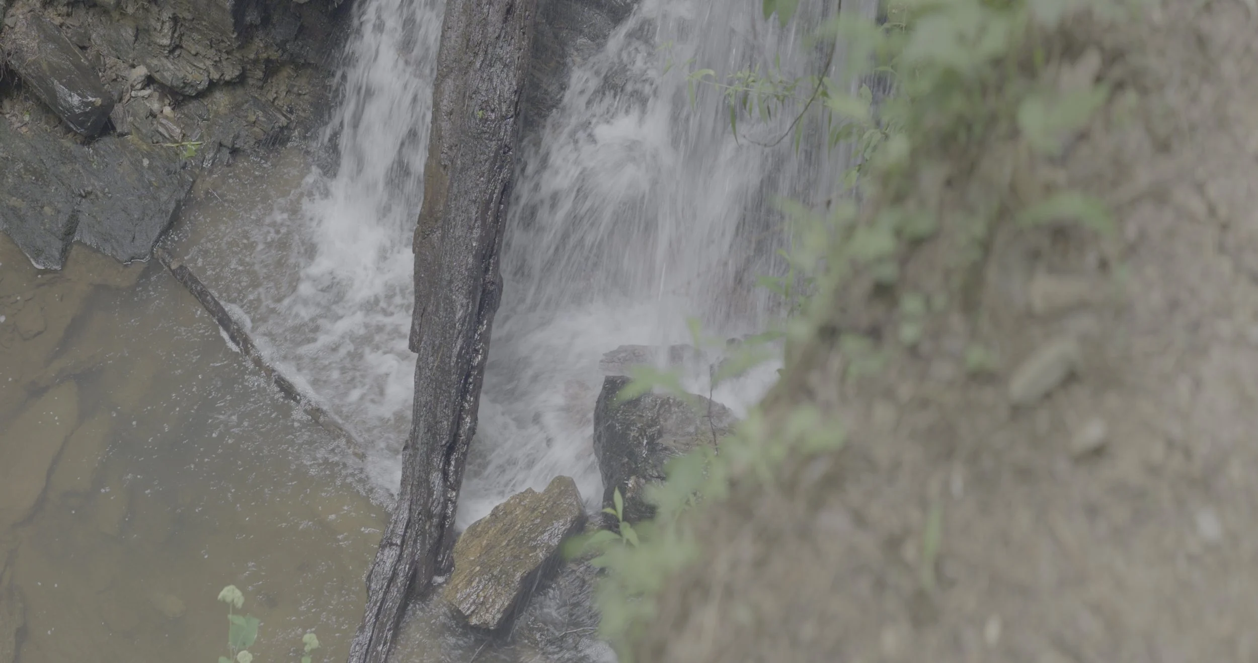 Lumix S5iiX // Sirui 50mm Super 35 Anamorphic Lens