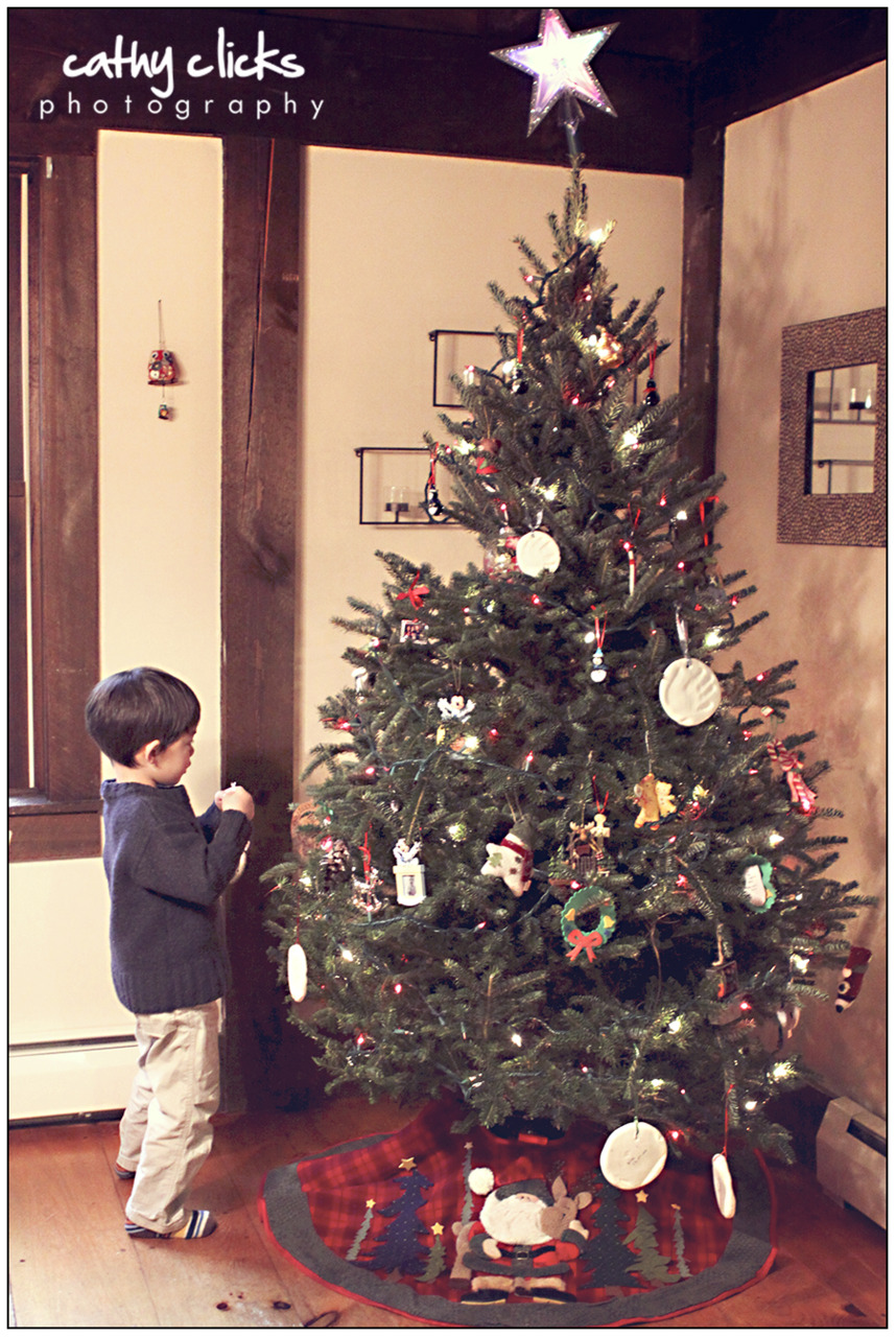 Are you ready for Christmas?
Our Christmas tree is up (decorated by my children)!  I’ve been in the midst of Christmas card designing and writing, gift shopping, and PROJECTS (made my first advent calendar out of felt)!  I’ve decided to …