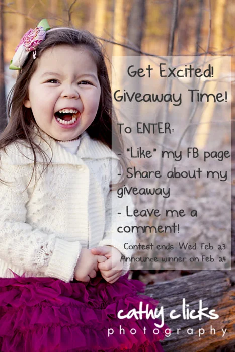 We’ve reached 250 fans on Facebook!  Time for a GIVEAWAY!  And this one is huge!
Win a FREE PHOTO SESSION and $100 PHOTO CREDIT!
To enter:  You must live or have the photo session within 30 miles of Scarborough, Maine, like my Facebook page, s…