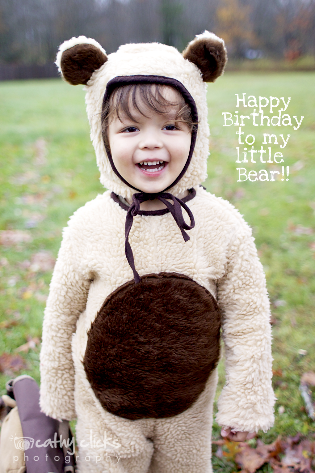 I cannot believe another year has flown by and my little Bear turned three. &nbsp;I look back at photographs from this year and he has really changed. &nbsp;My once little baby is now all grown-up looking. &nbsp;However, I think because I have two o…