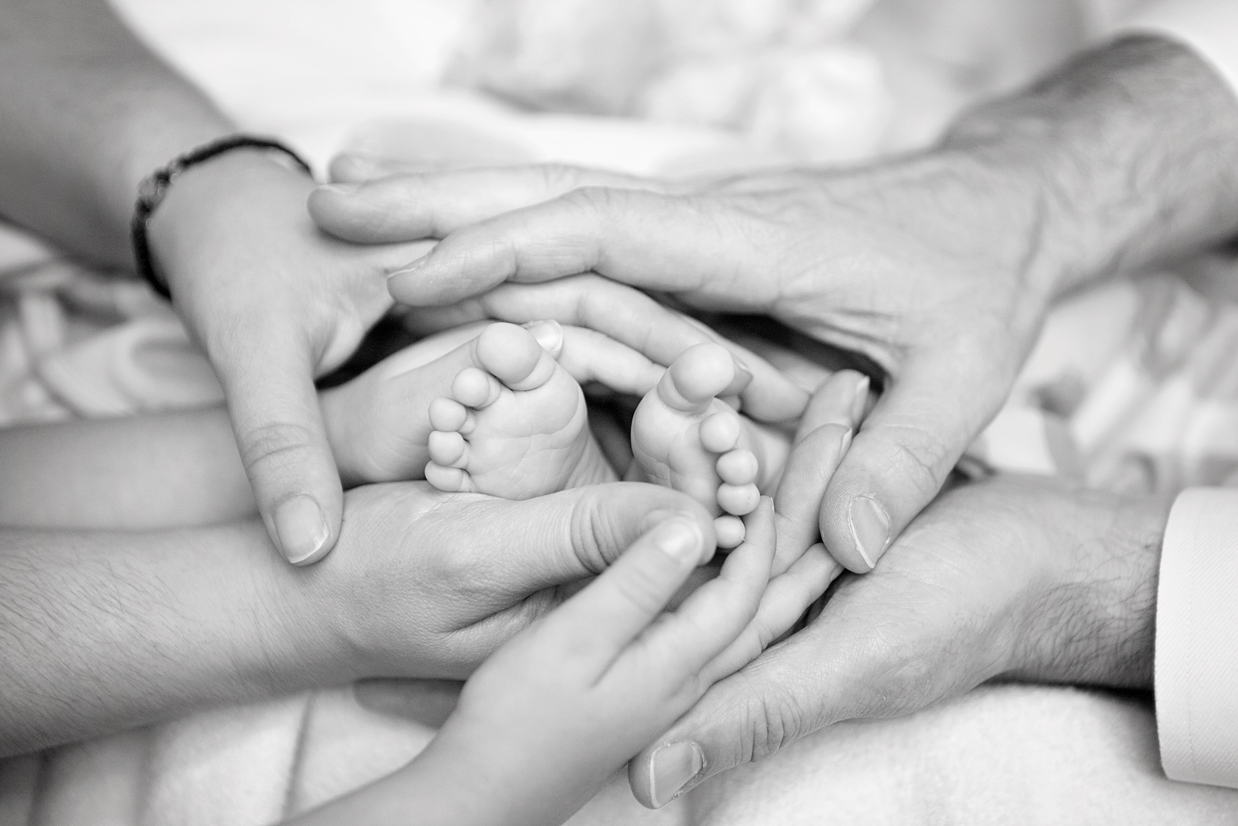 IMG_0851 - Version 2.png