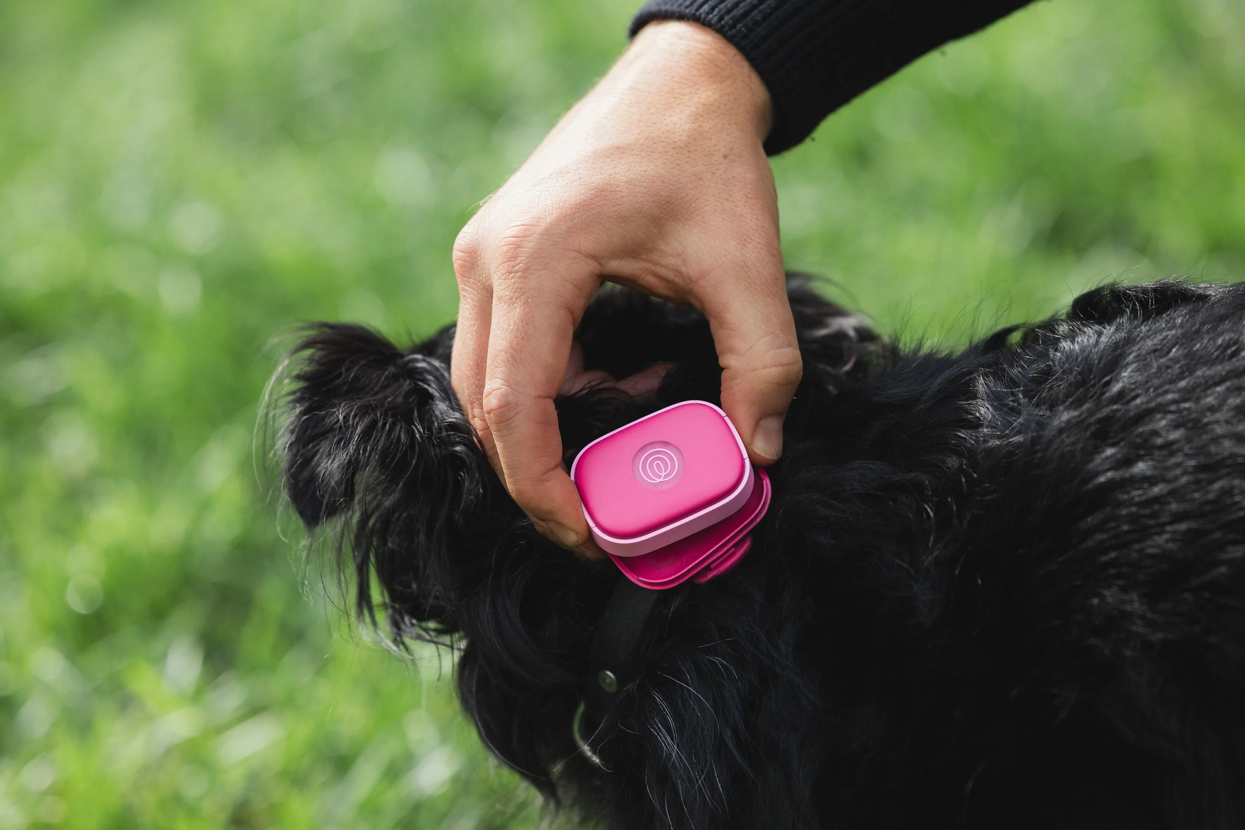 Life360_Tile_Pet_Tracker_03.jpg