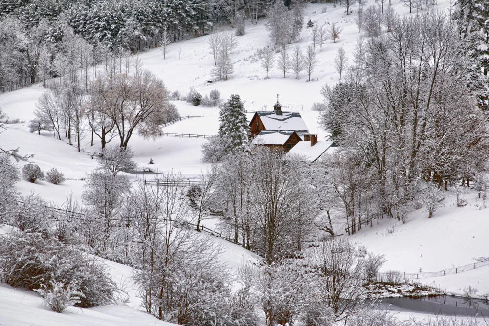 Winter Landscape.jpg
