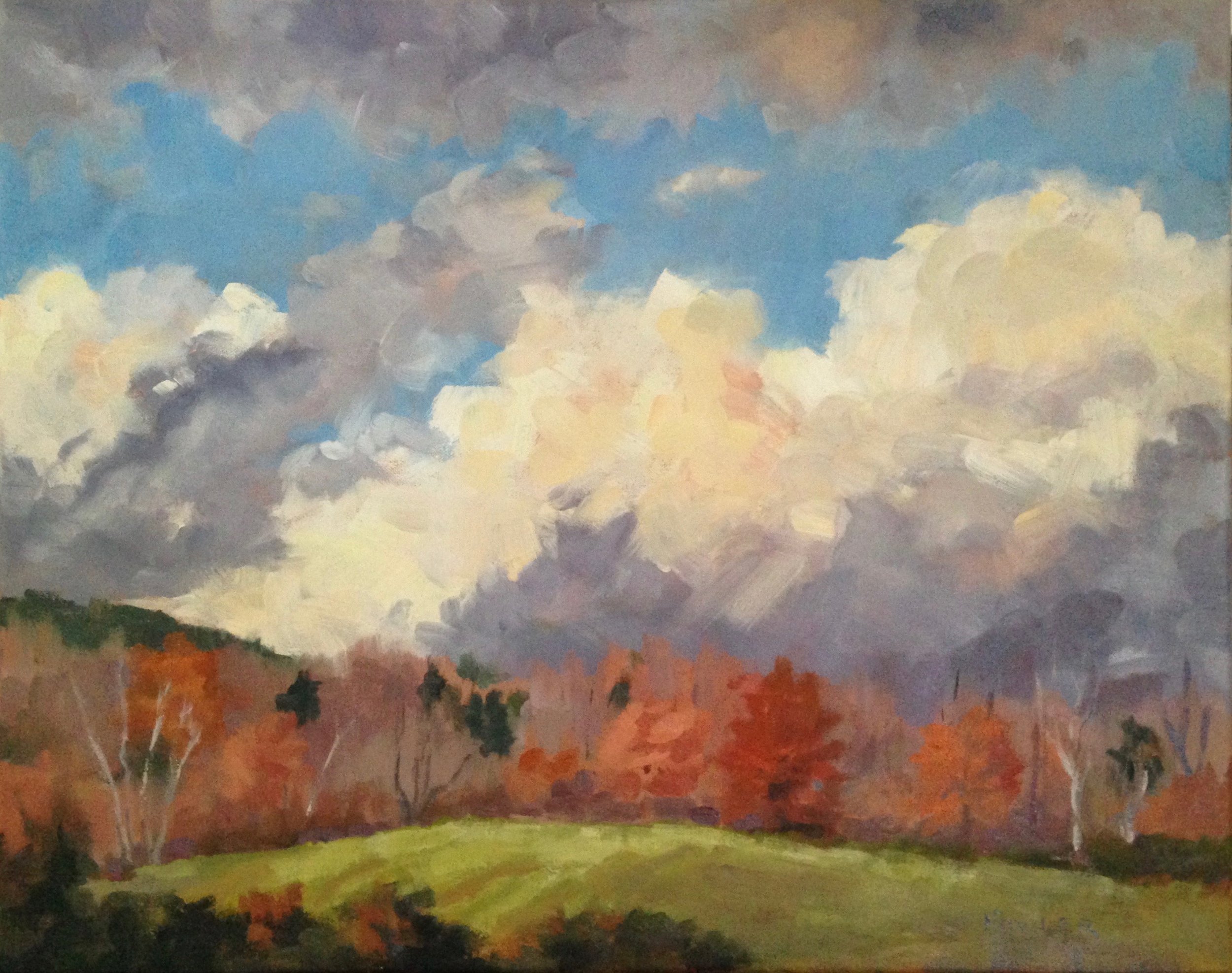 Fowler_Sky Drama 16x20_.jpg