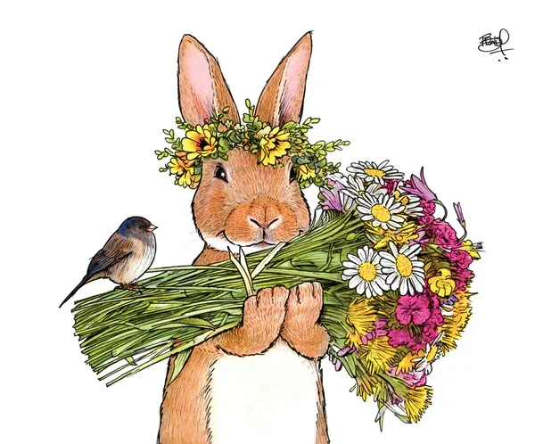 bunny.webp