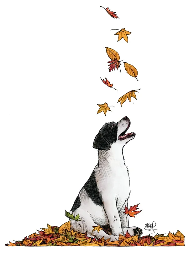 puppyleaves_600x.webp