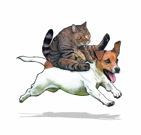 Giddy Up.webp