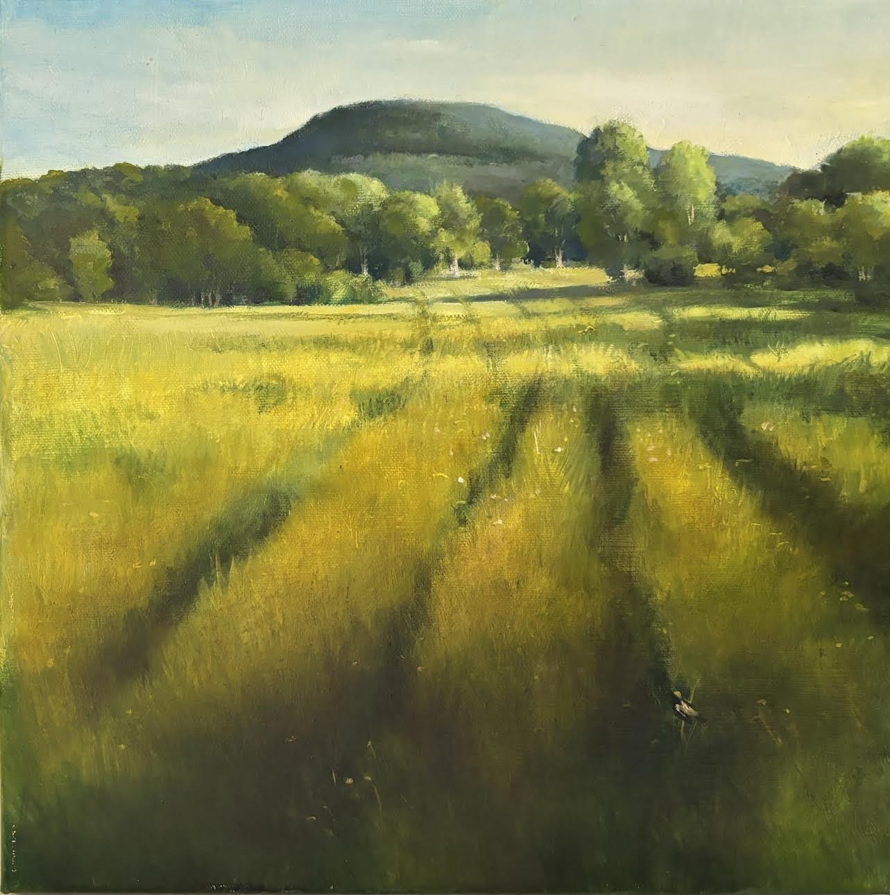 Pasture and Mountain.jpg