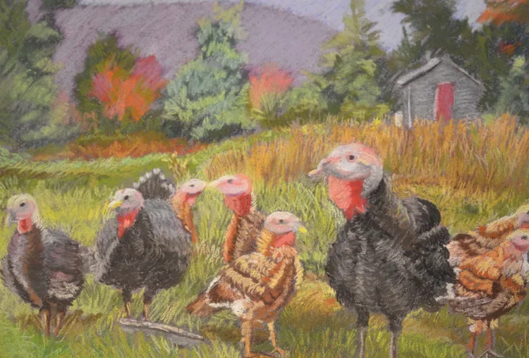 Judy Turkeys.webp