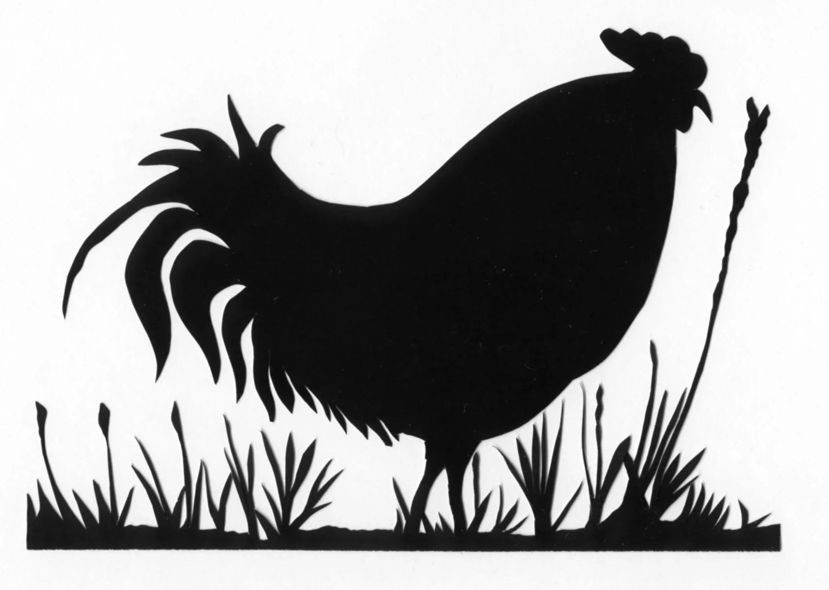 Carolyn Rooster.webp