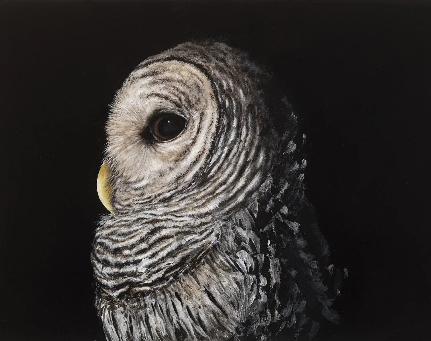 Linda - Barred+Owl.webp