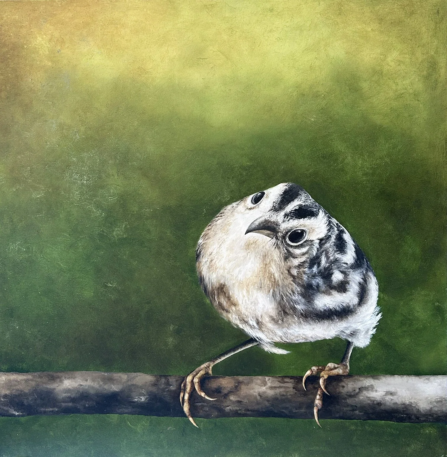 Linda - Black+&+White+Warbler.webp