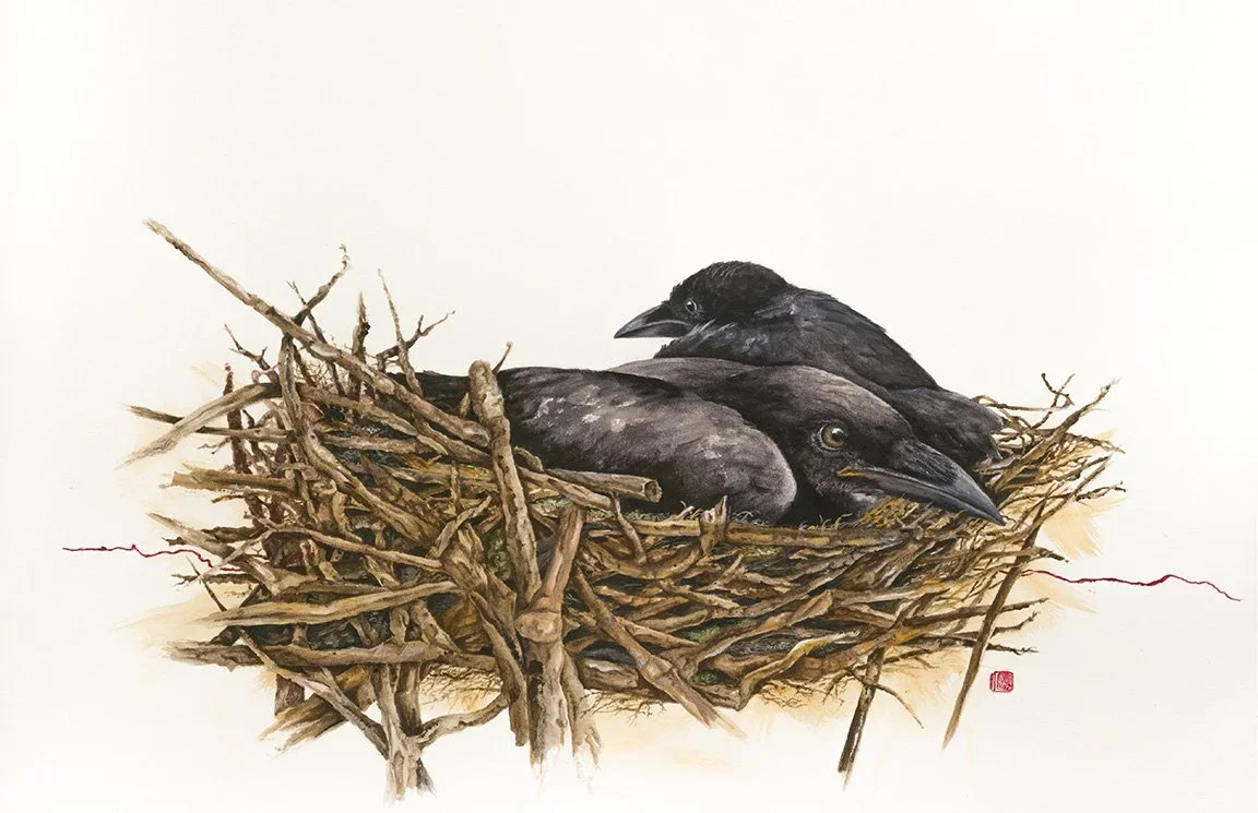 Linda Crow's+nest,+Acrylic+on+Fabriano,+20+x+30+framed,+2020.webp
