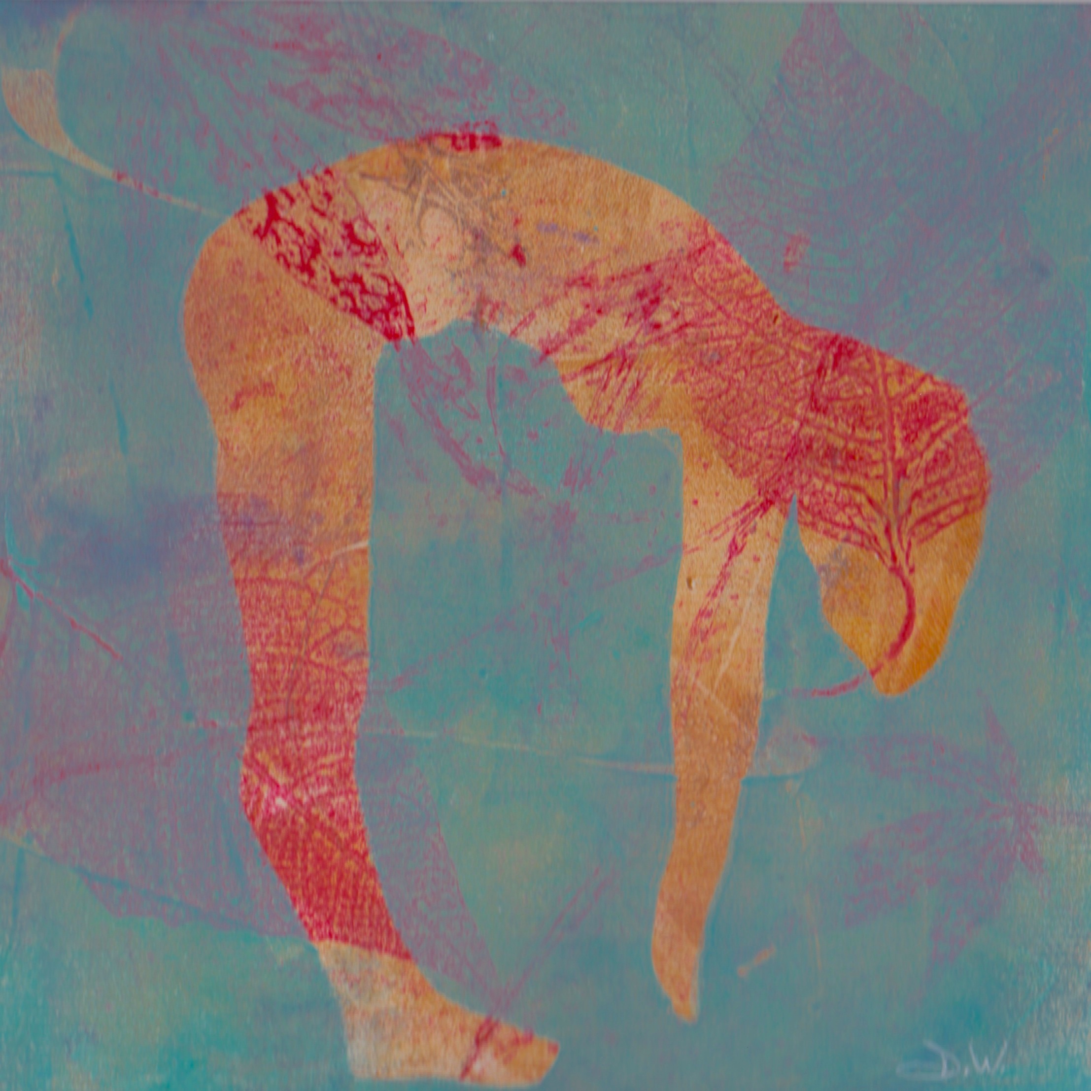 Flexura 1, Sold