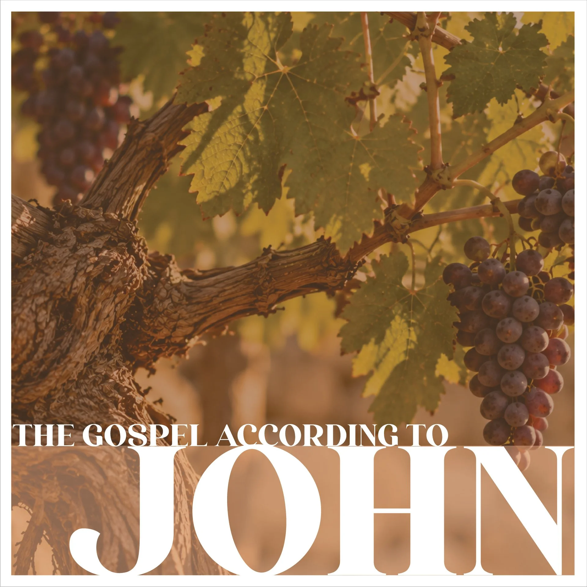 Sep. 13th, 2026 | John 15:1-8