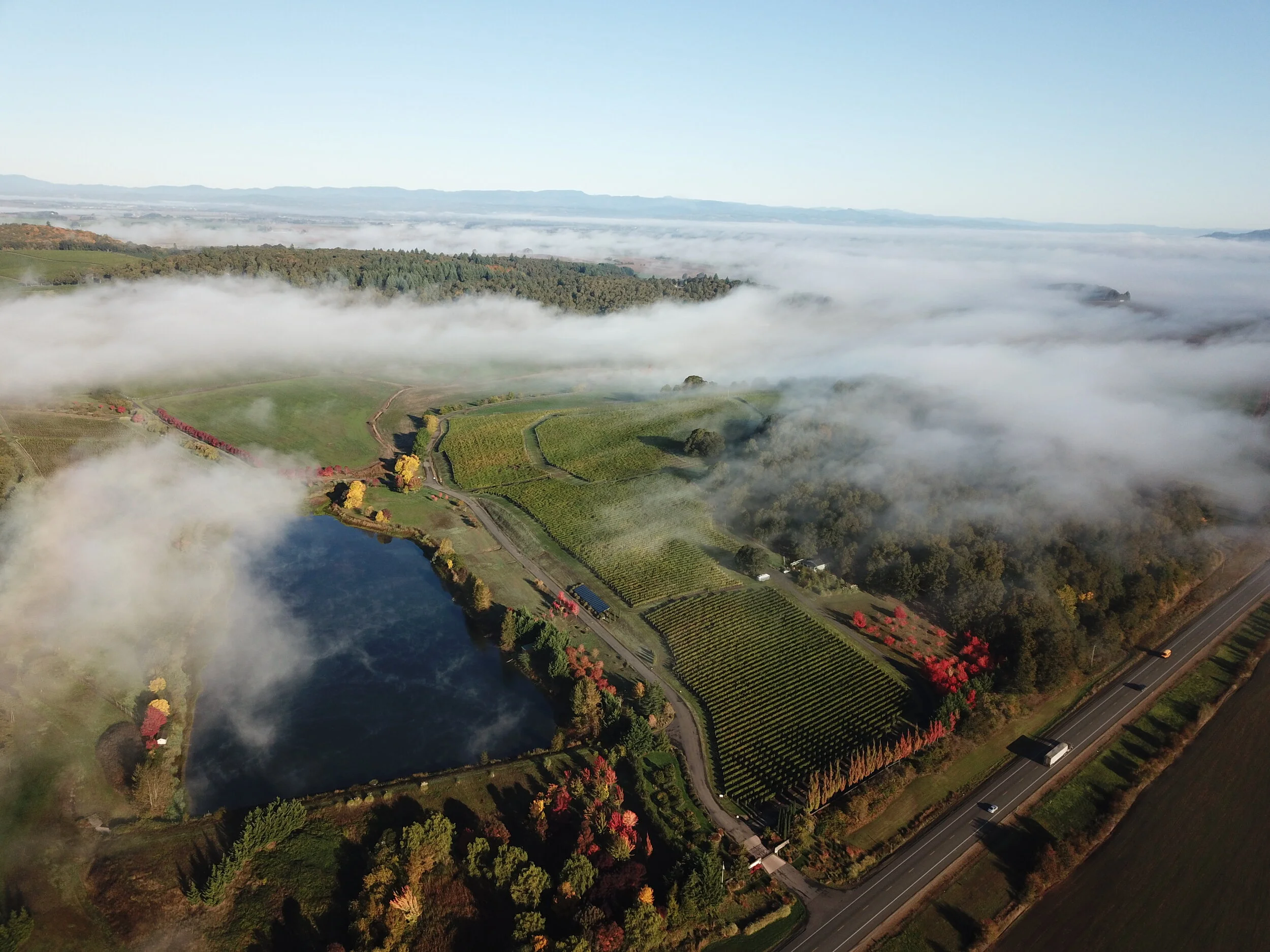  Left Coast Estate  2011-present  Photo Credit: Chad Saxton 