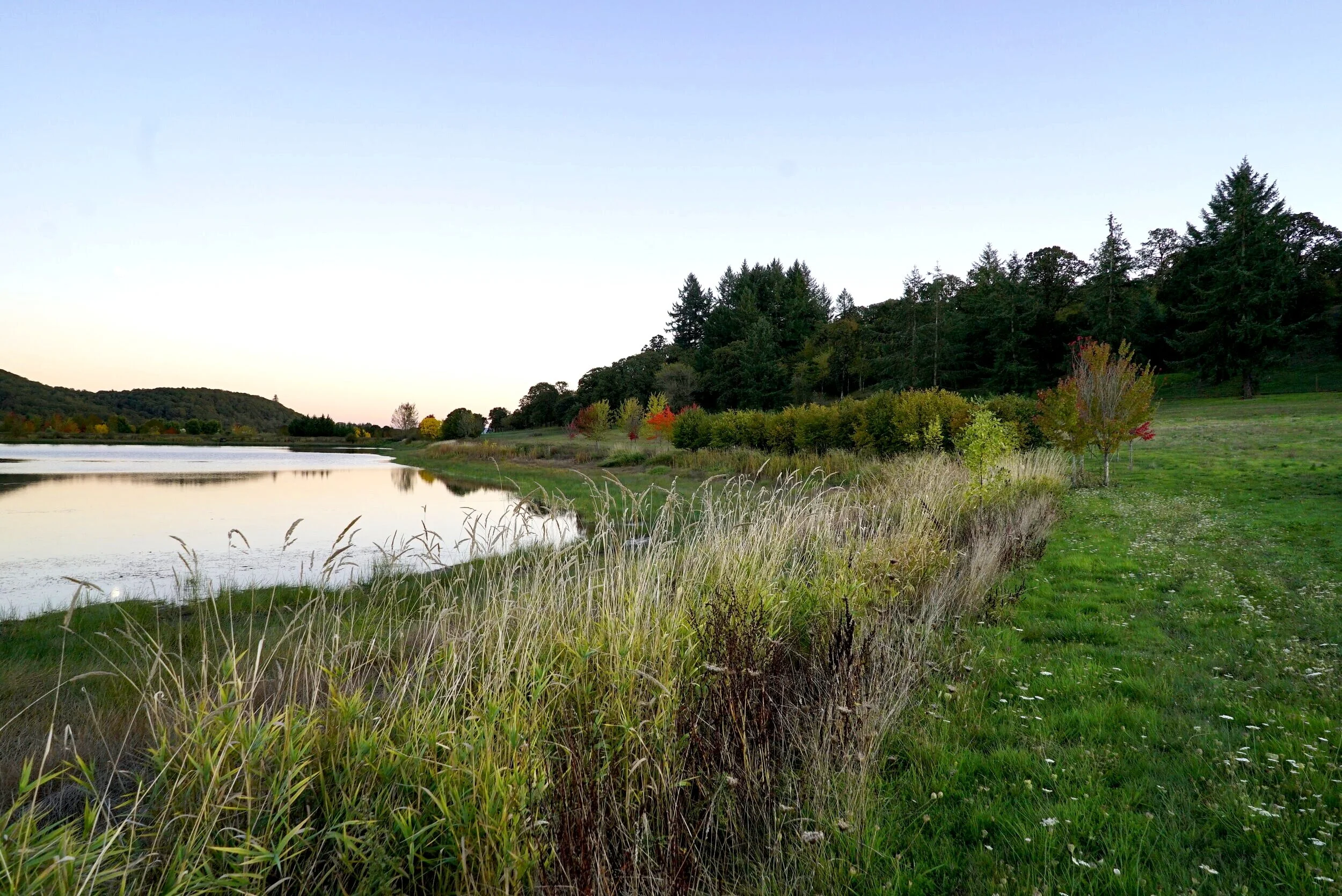  Left Coast Estate  2011-present  Photo Credit: Chad Saxton 