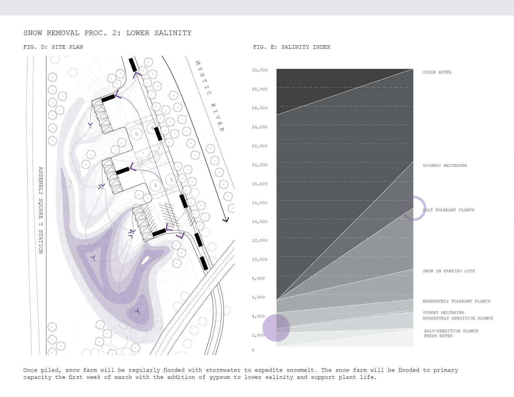 SC Website Slides 2102249.jpg