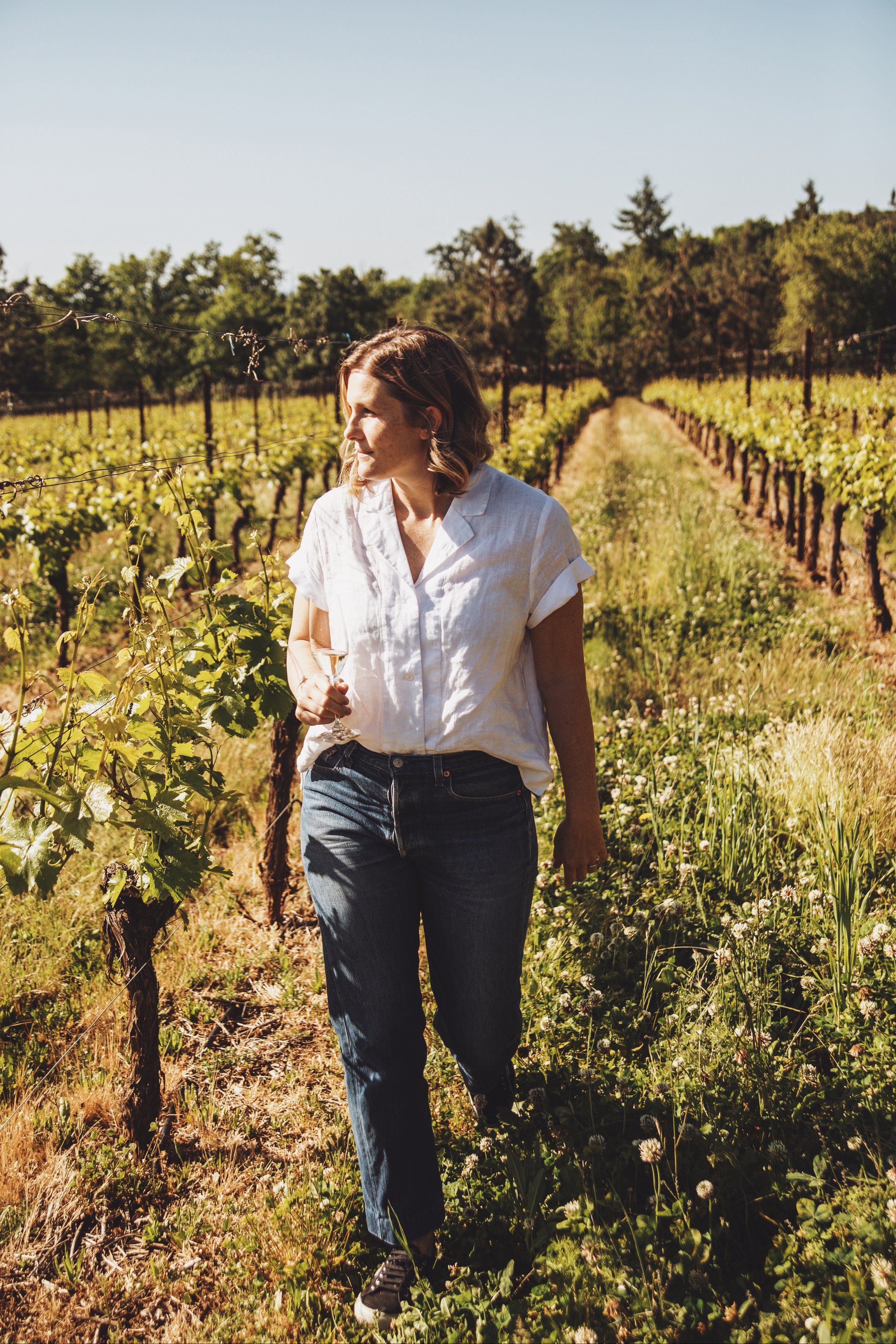 Vineyard Stroll: Photo by Laurel Dailey