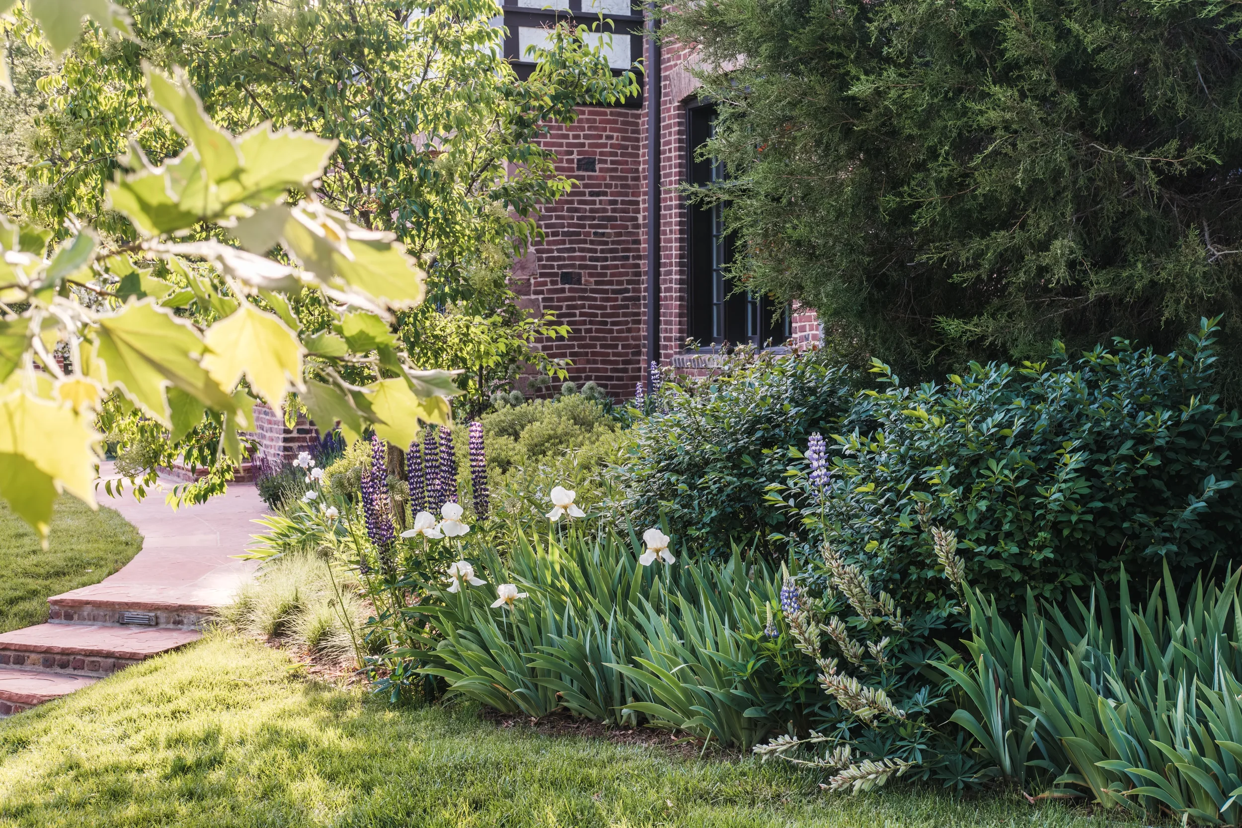 Studio Campo-Hawthorn House-Daniel Jenkins-4.webp