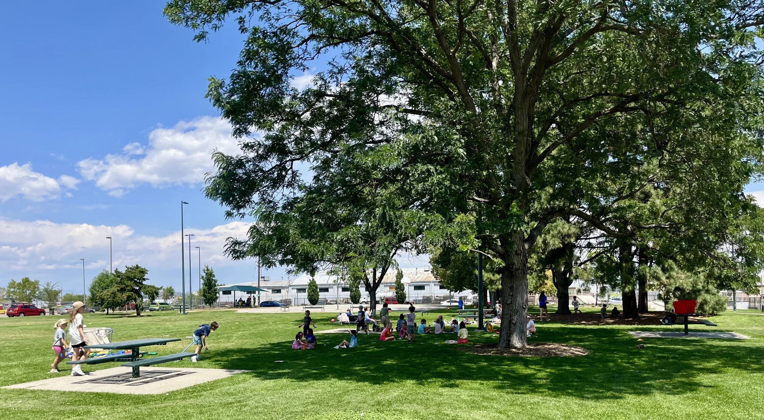 Elyria Park Shade Trees.jpeg