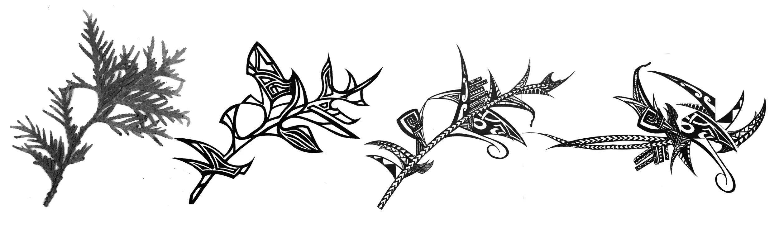 James Colvin-Student work 2d.jpg