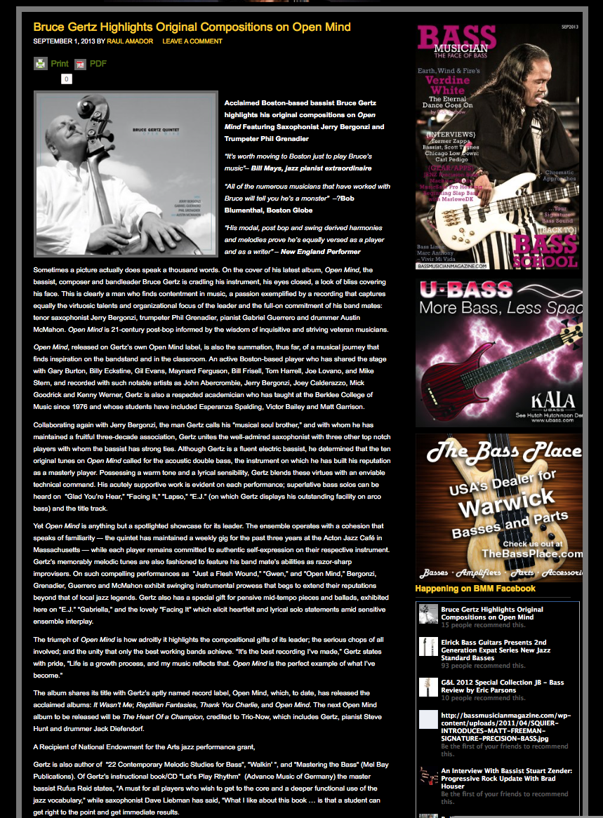 Bass Musician/Open Mind