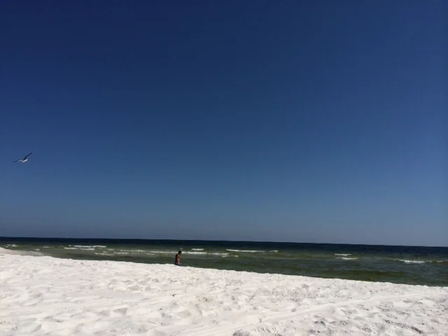 Beach.jpg