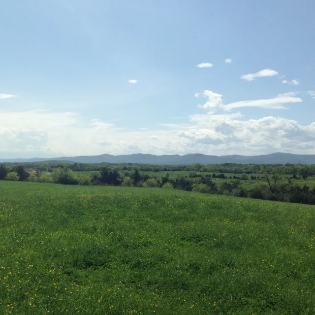 Front Royal, Shenandoah River Valley, VA 2014 | Photo: Author