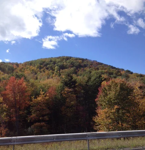 Lovely Fall Foliage