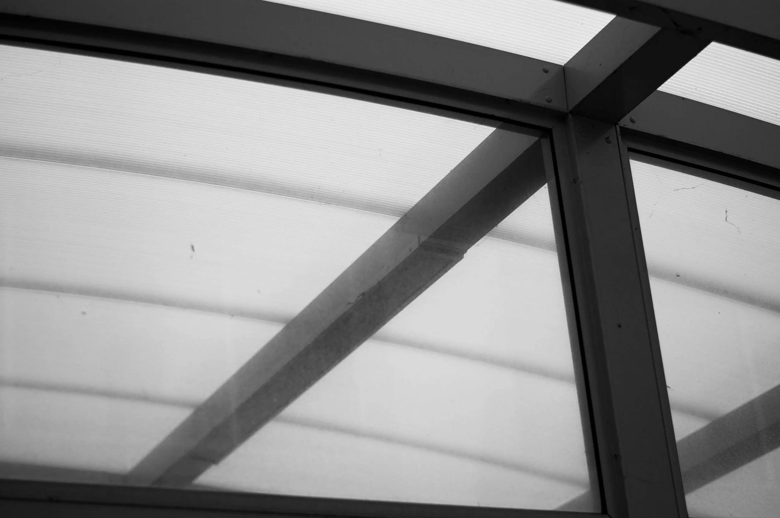 Shelter