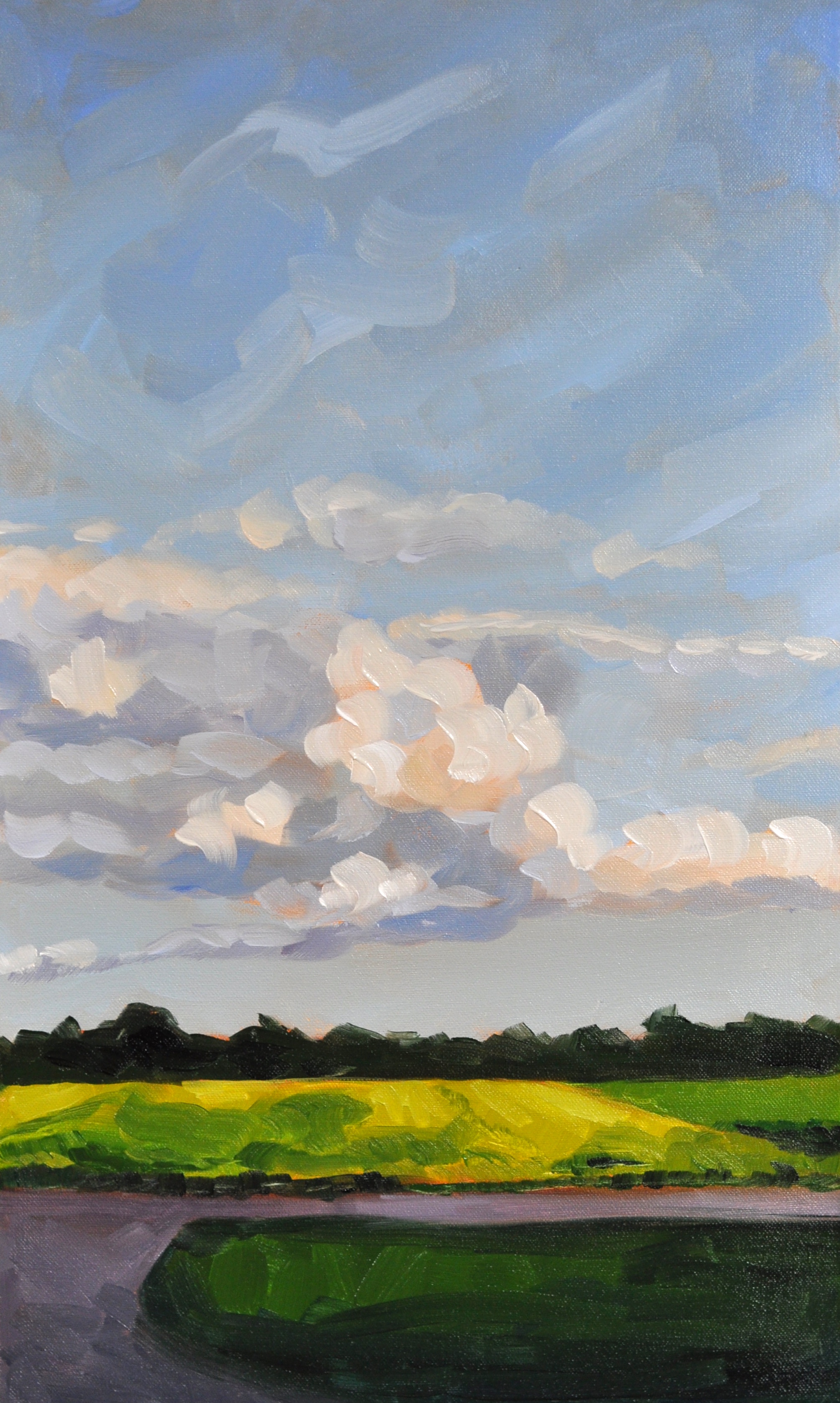 Late Afternoon Clouds