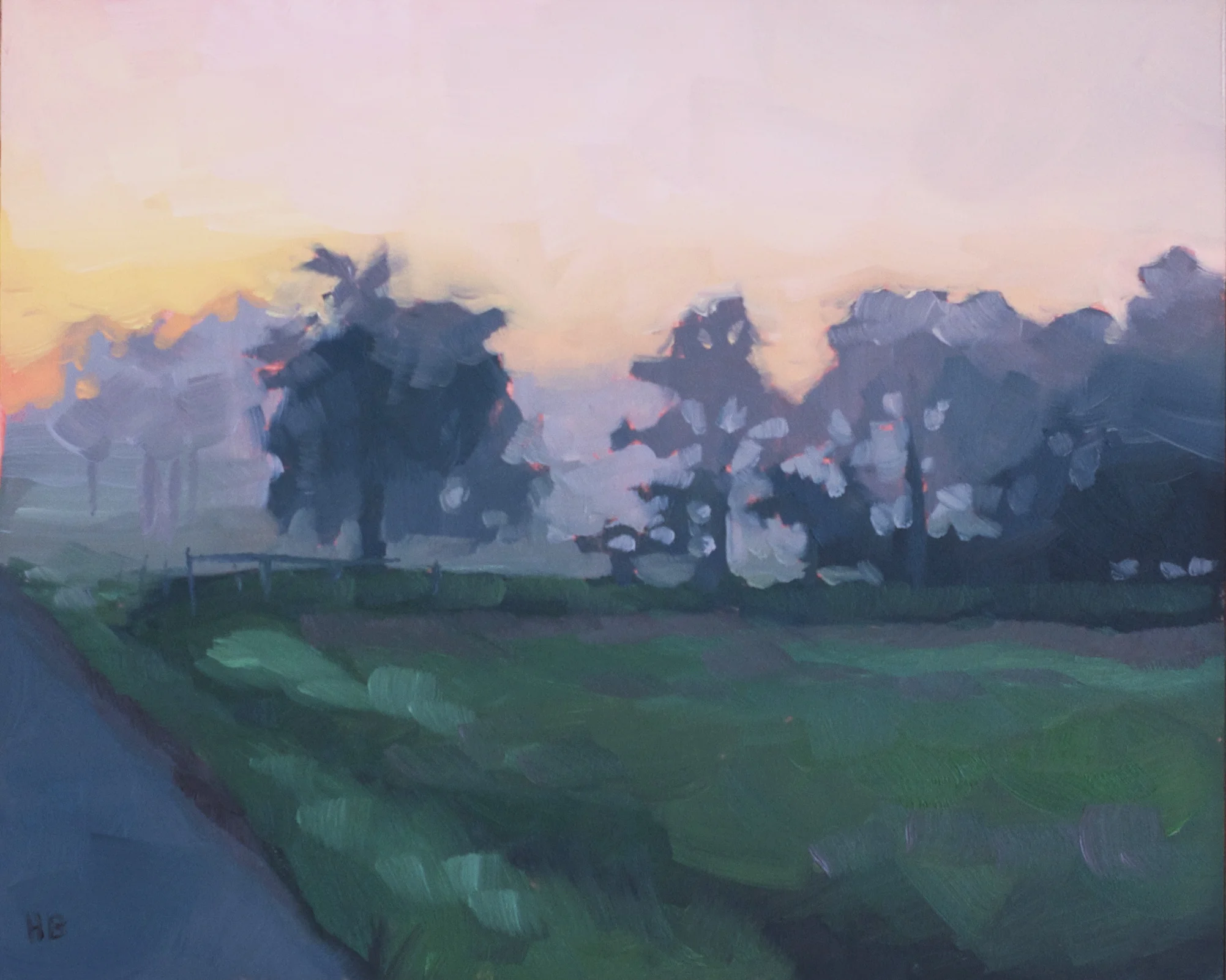 Fog