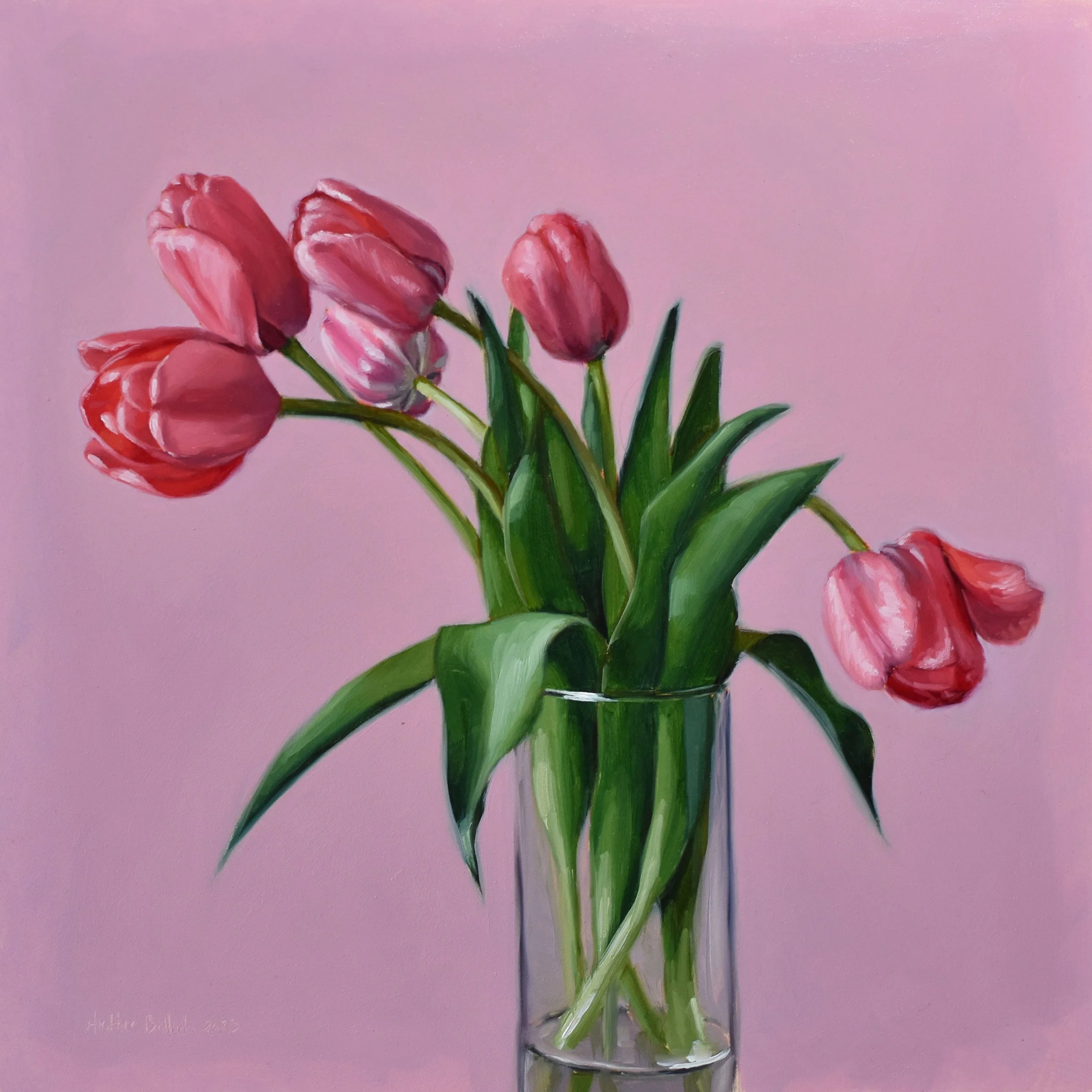 Tulips #2