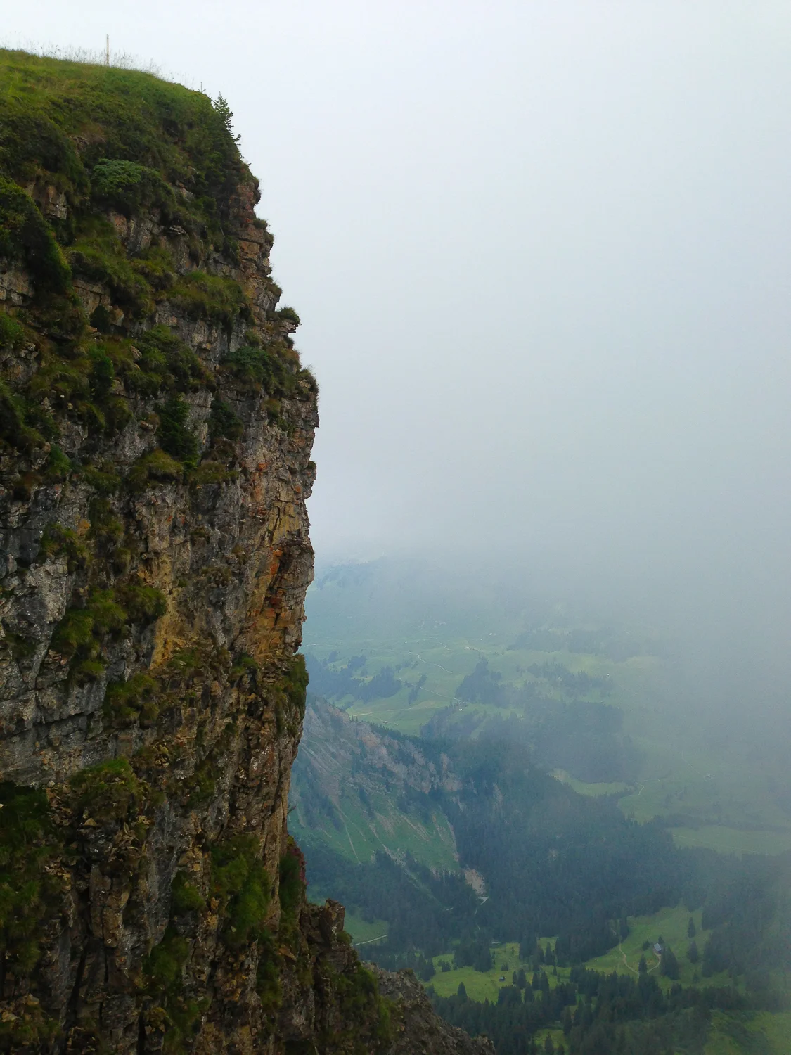 2013-08-11_Diedamskopf.jpg