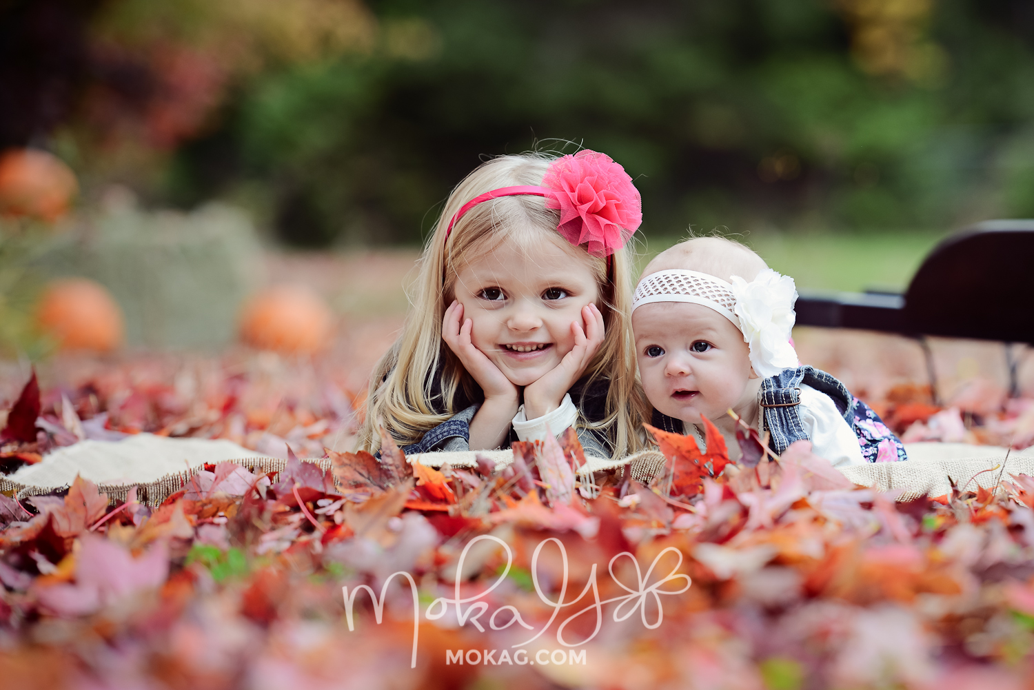 DSC_2868-Edit.jpg