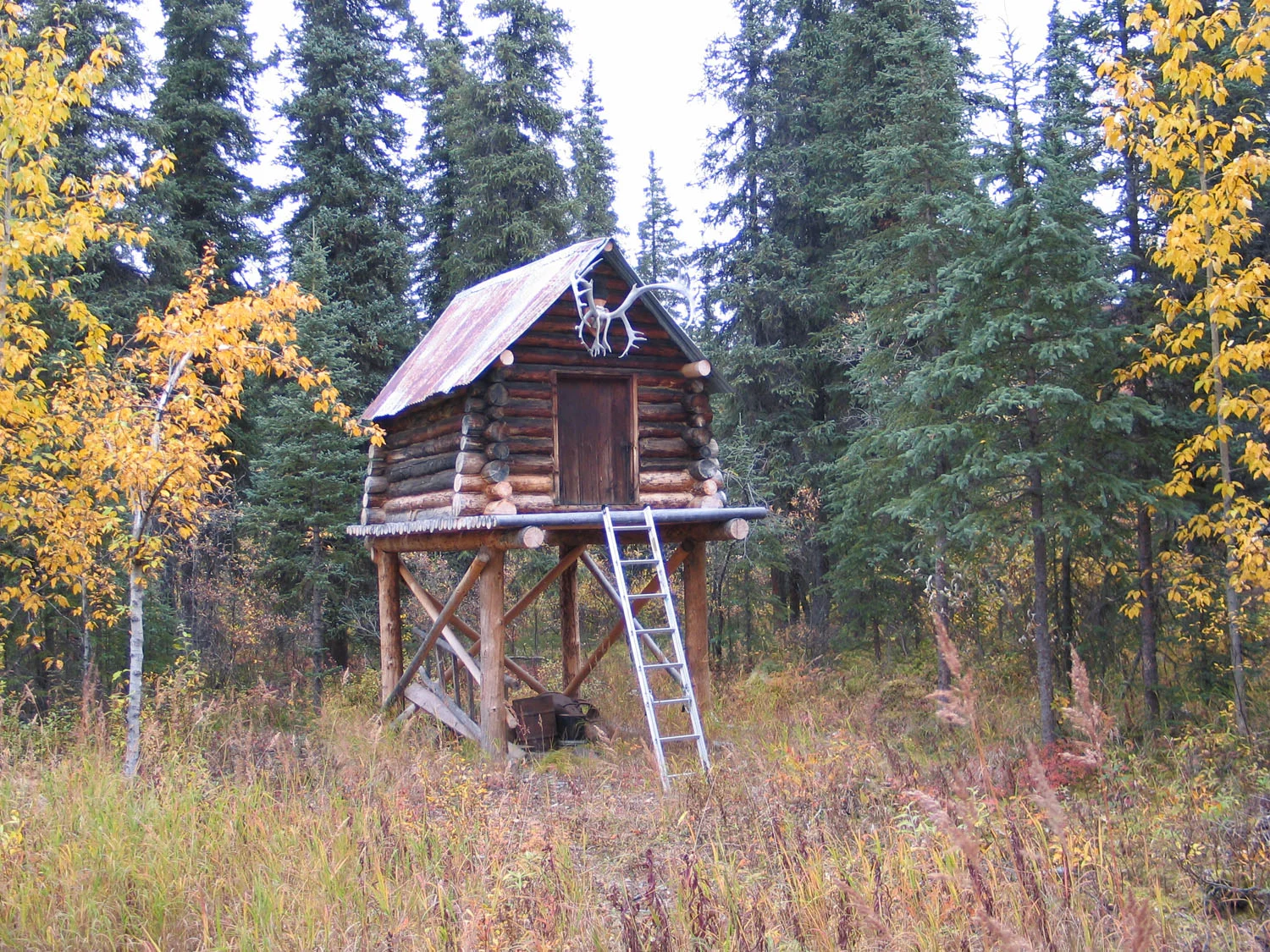 cabin.jpg