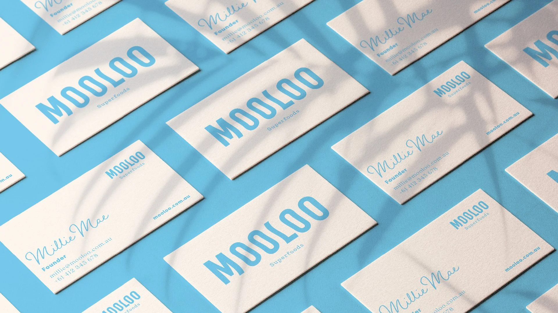 Mooloo-06.jpg