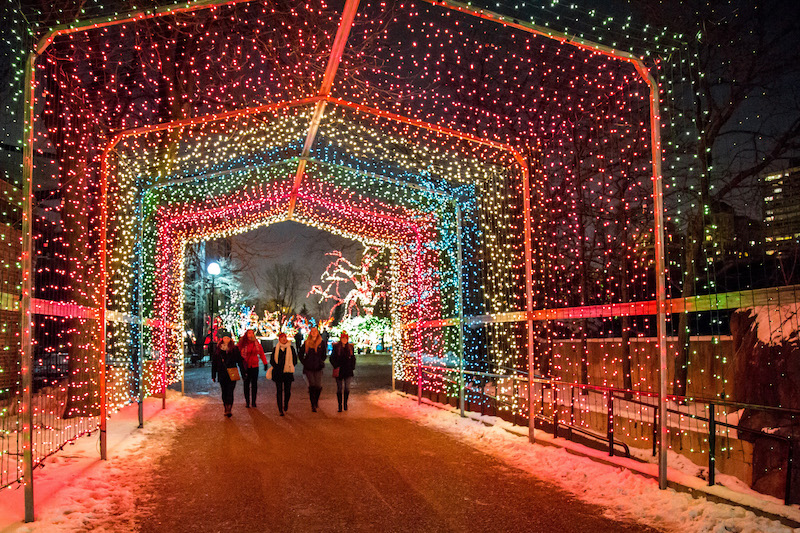 Lincoln Park Zoo Lights Chicago