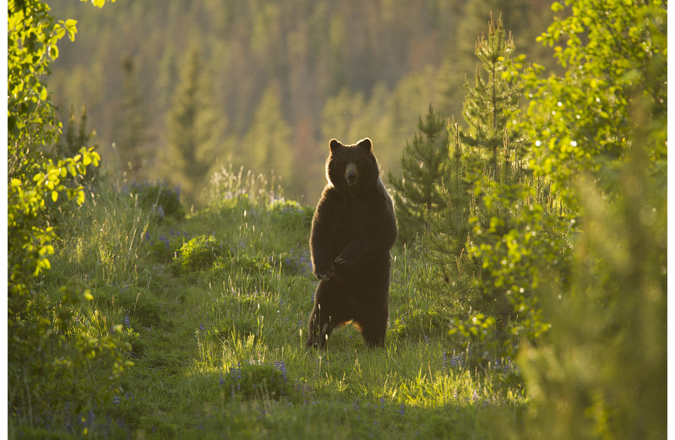 SLorencePhoto_chilcotin_034.JPG