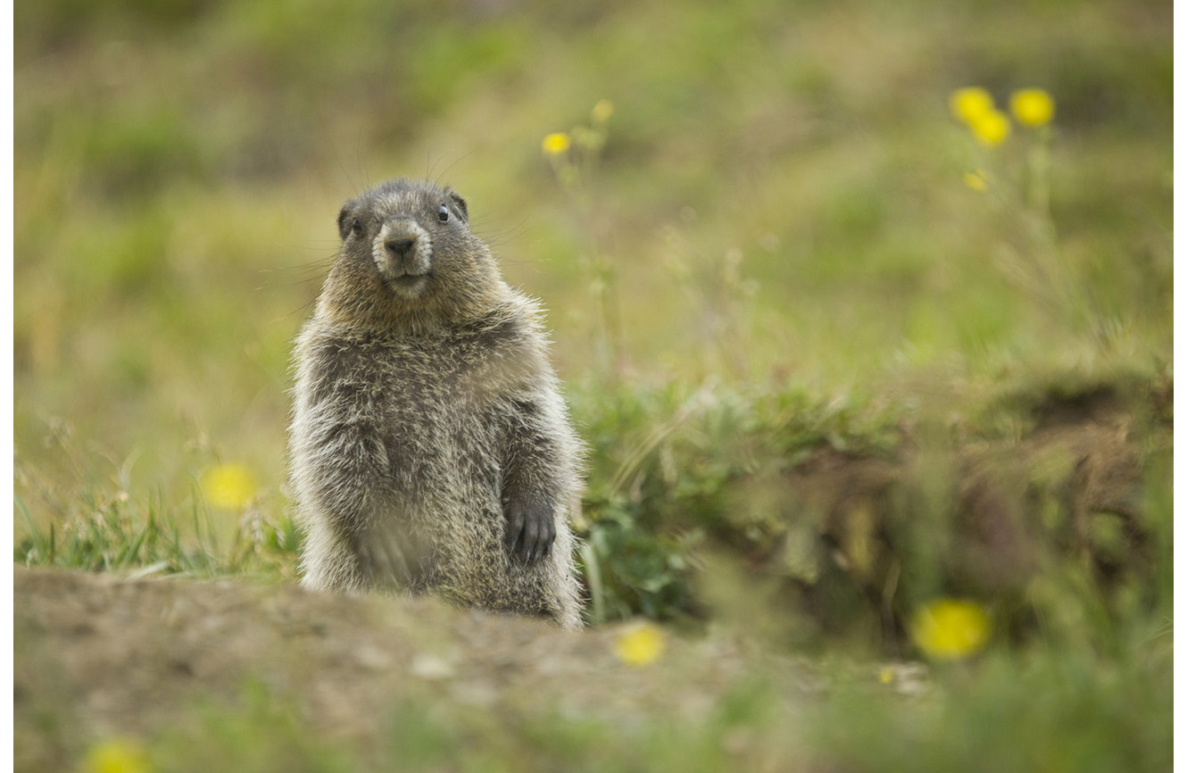 SLorencePhoto_chilcotin_048.JPG