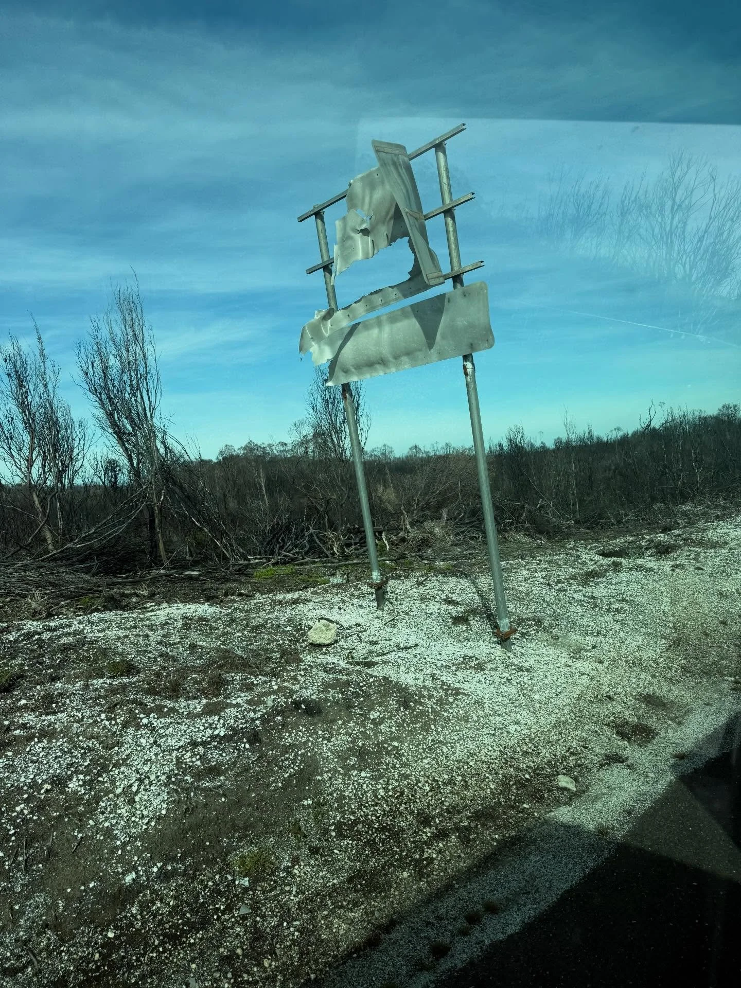 Not all of the Tarkine/Takanya was beautiful. Some areas of it were ravaged by fire that burnt so hot in areas back in February that there&rsquo;s been little recovery of the trees, other areas are scarred by logging, mining and tailing dams, and som