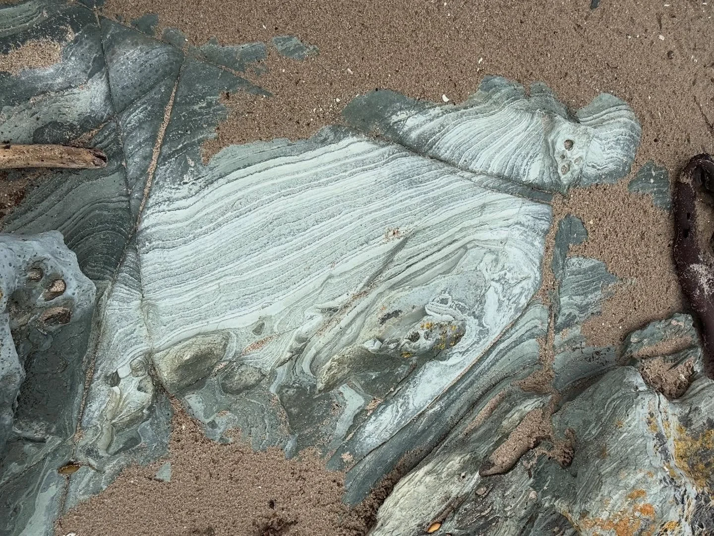Lutruwita/Tasmanian West coast beach stripes.