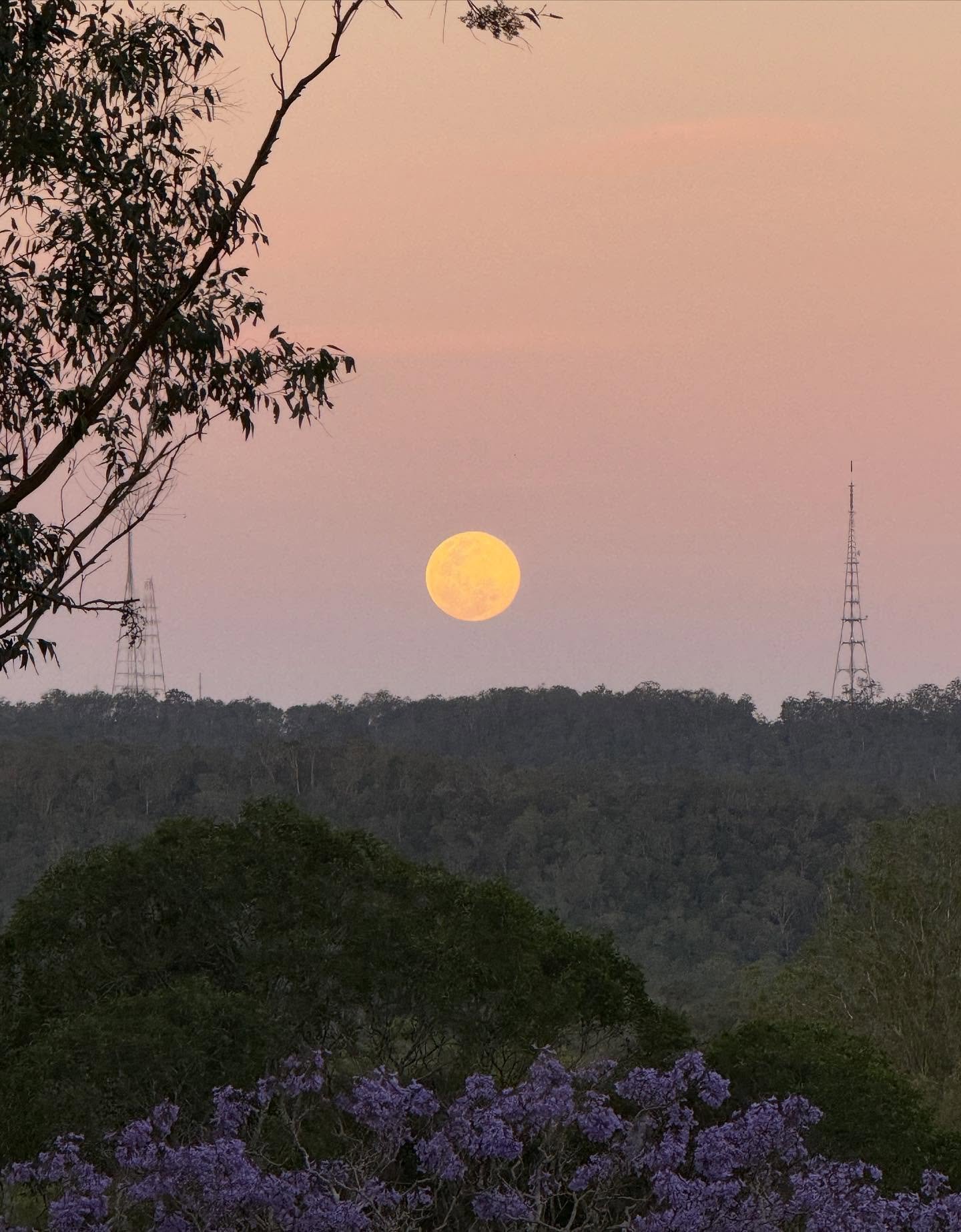 Up she comes. 🌕

#beavermoon