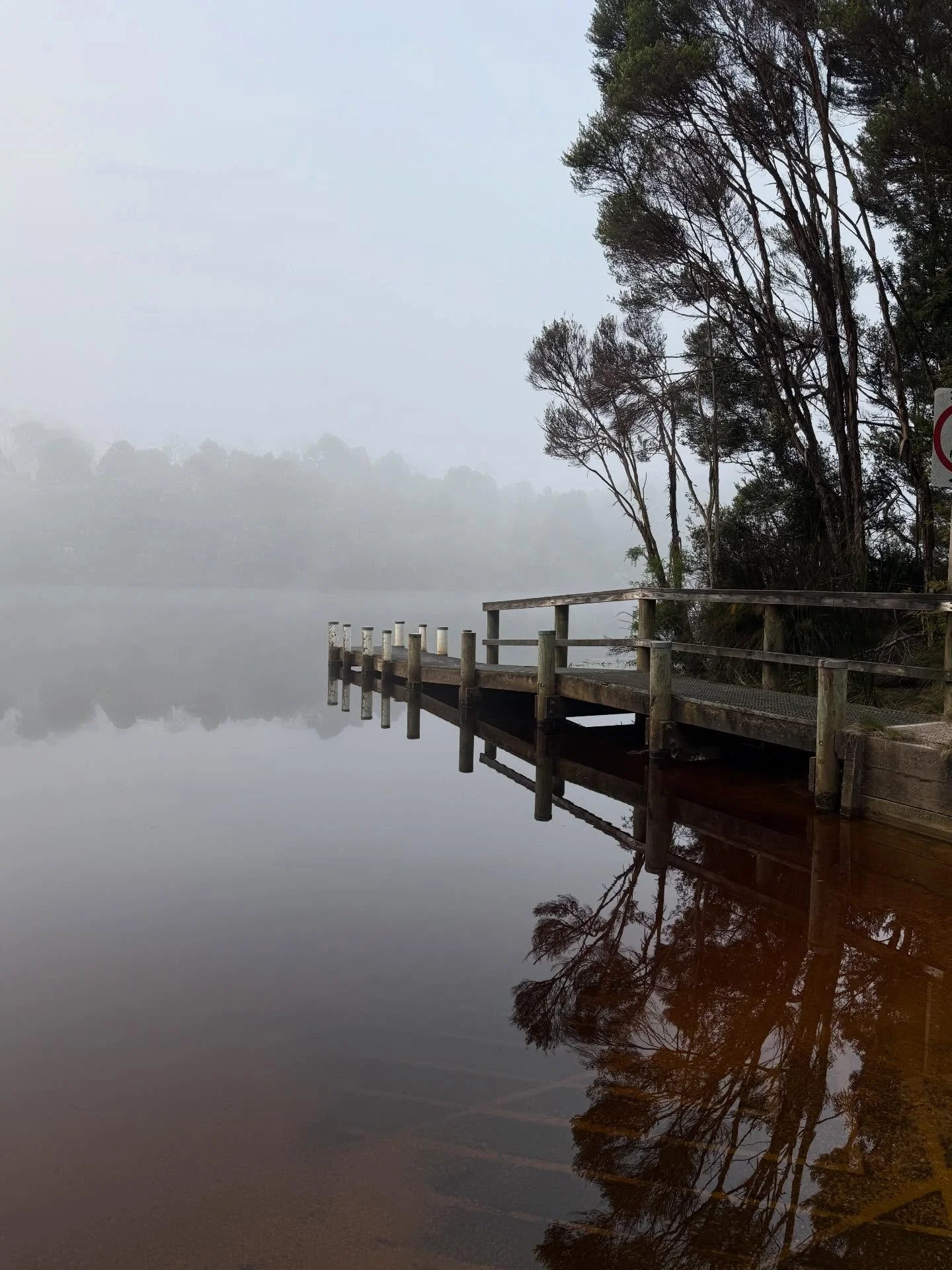 Reflections and ripples. Corinna + Pieman River, Tarkine National Park, Lutruwita/Tasmania. 

#tarkine 
#tasmania