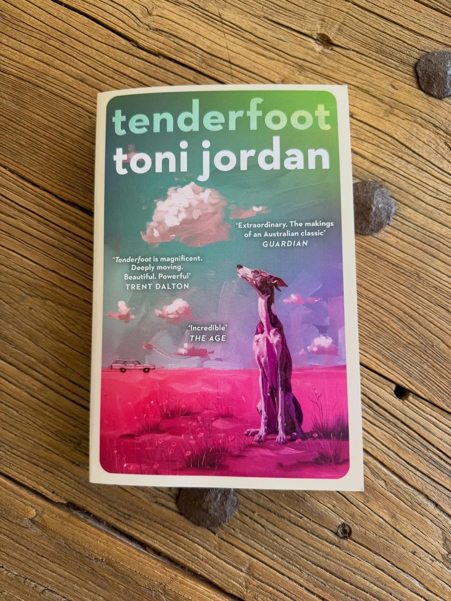 I adored TENDERFOOT by @toni_jordan_writer. Andie is the child at the heart of the story, reflecting on her childhood through the lens of age but told mostly as that child living in the Joh Bjelke Peterson-blighted era of 1970s Brisbane. To look back