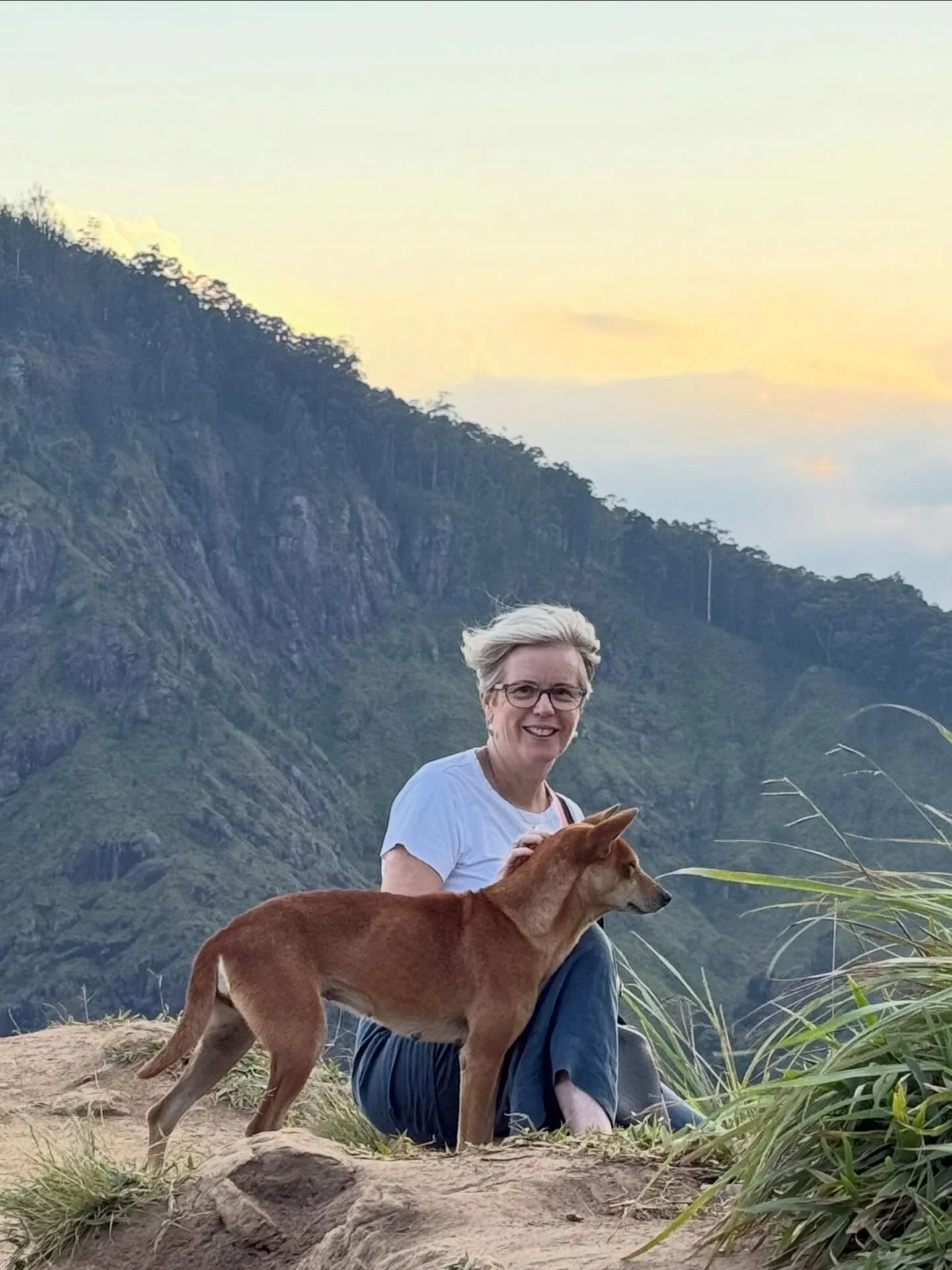 Dogs are ubiquitous to Sri Lanka; many brawl-scarred, others thin and mangey, the bitches perpetually feeding puppies or soon to be, all of them sassily road smart with few I&rsquo;d pat given rabies is endemic in the country. But this sweet girl led