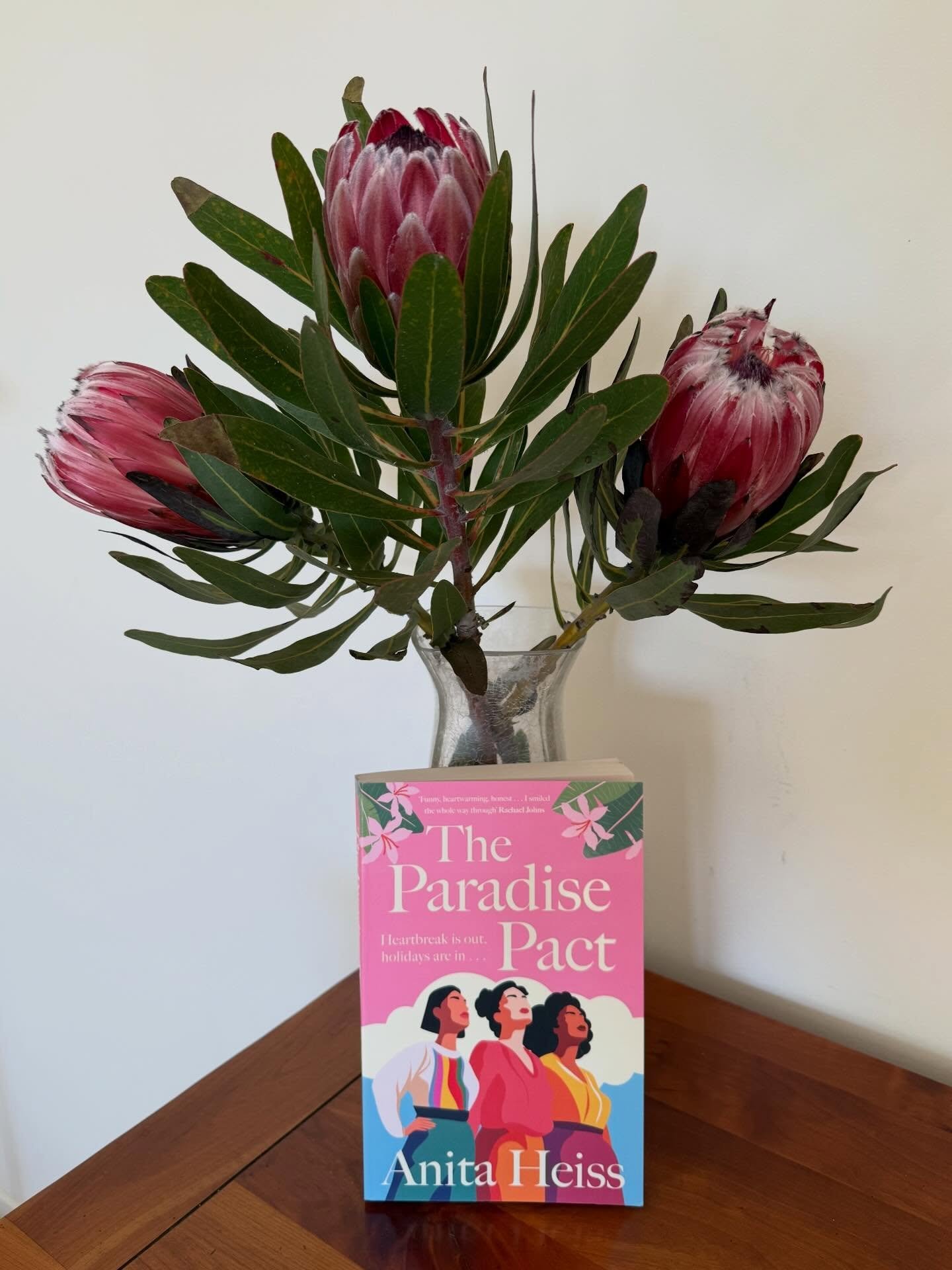 The Queen of #blakcellant rom-coms @dranitaheiss brings us another pacey, racey tale about surviving heartbreak, finding love, the power of female friendships, living your best life and of loving your body no matter its age. 
A woman can travel far l
